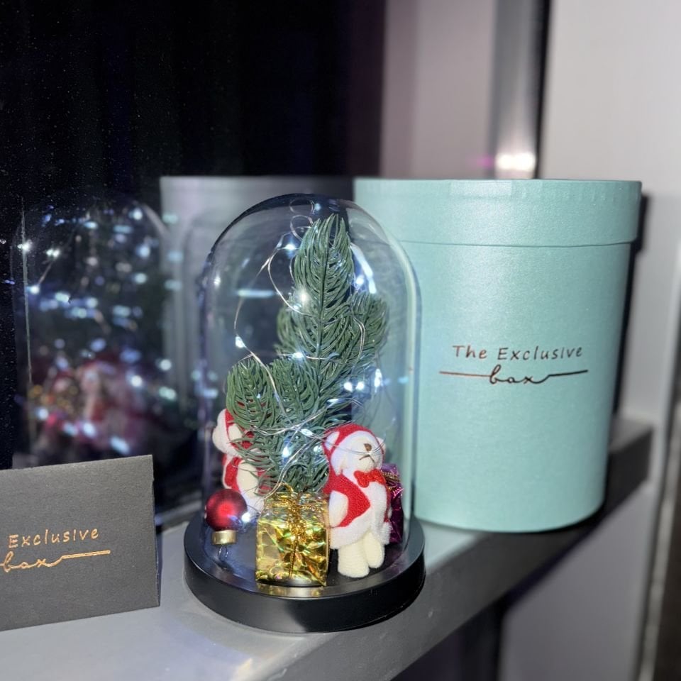 Işıklı Yılbaşı Teraryum