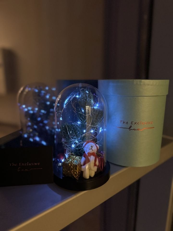 Işıklı Yılbaşı Teraryum