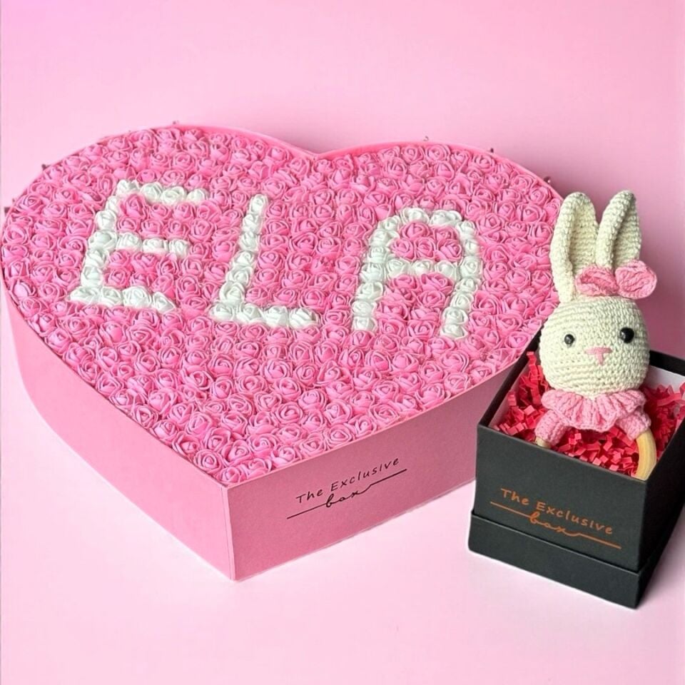 İkili Kız Bebek Hediye Seti